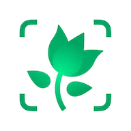 Kinopub Icon